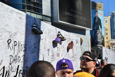 DSC_7144 (Large).JPG